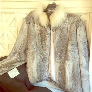 Beautiful Rabbit Fur